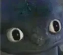 lb_014_ToothlessOk