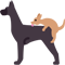 :FTGPdogunder: Discord Emote