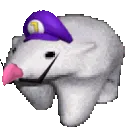 aWAHBear