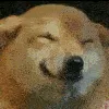doggosmile