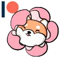 sakurashiba
