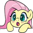 flutterooh