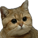 630419187860242442.png?v=1