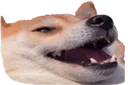Daug