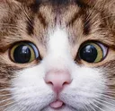 qGRUCSl2f9Y