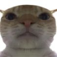 FrontCat
