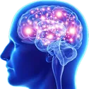 bigbrain bigbrain