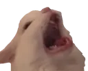 AAAAHHH