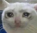 SadWhite