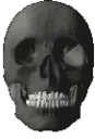 aedgy_skull aedgy_skull
