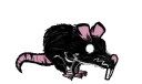 ratraid