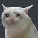 crycat