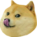 doge_licc doge_licc