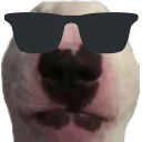 Waltercool
