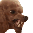:FTGPdogscary: Discord Emote