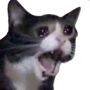 Yamero Yamero
