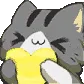 catHeart