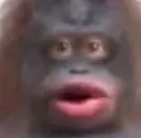 monke