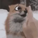 boop