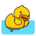 swimming