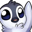 drpengHello
