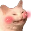 meow