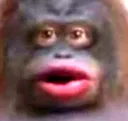 uhohstinky