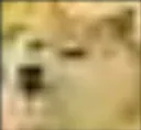 09doge2