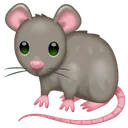 Pet_Rat