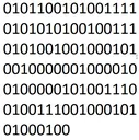 010010110101100101010011