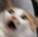 help help