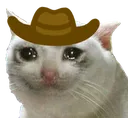 SadCat Discord Emoji