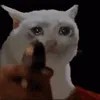 catShoot