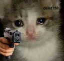 deleteDiss