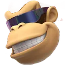 coolexpand