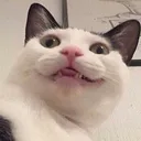 Ehehe EHEHE Discord Emoji