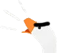coincolere coincolere