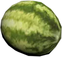 melon melon