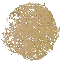 tumbleweed