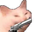 cattobangbang cattobangbang
