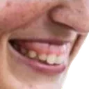 teeth