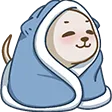 10cozy