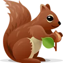 squirrel