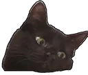 guri guri