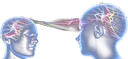 brainlink