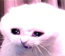 despair2