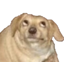 :ohYou: Discord Emote