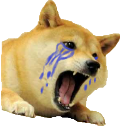 DogeDepressed