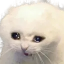 WHYYYYYYYYY