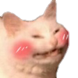catblush Discord emoji